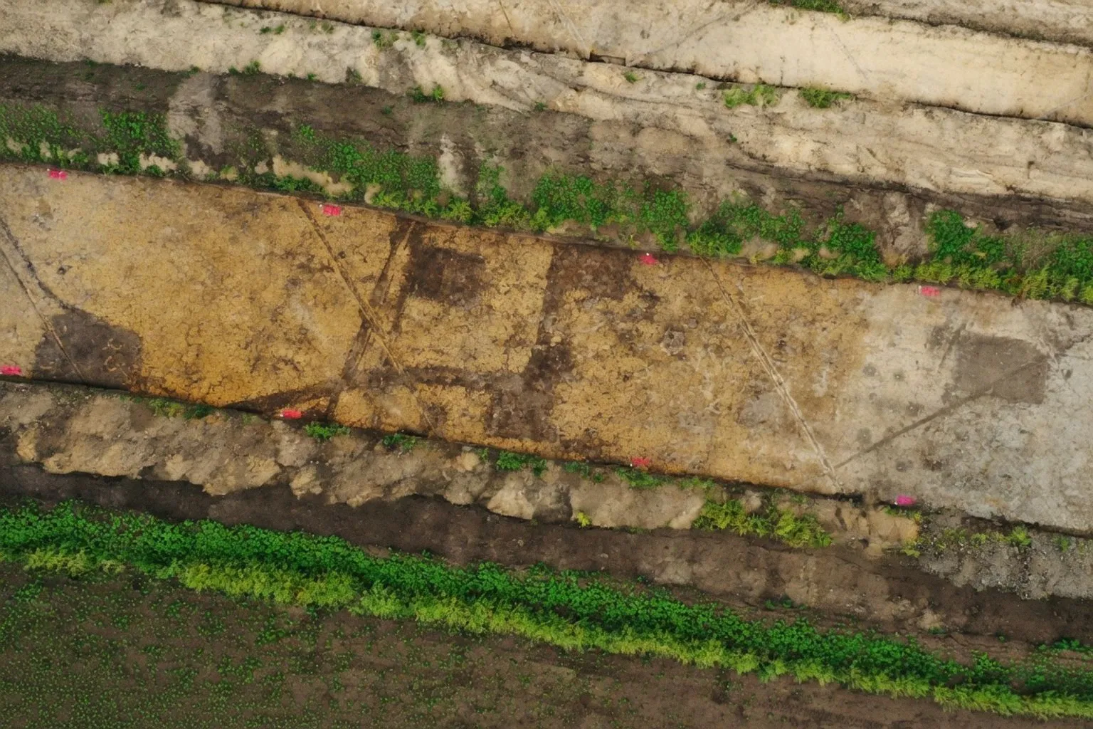 Archäologen entdecken mittelalterliche Wüstung bei Halberstadt