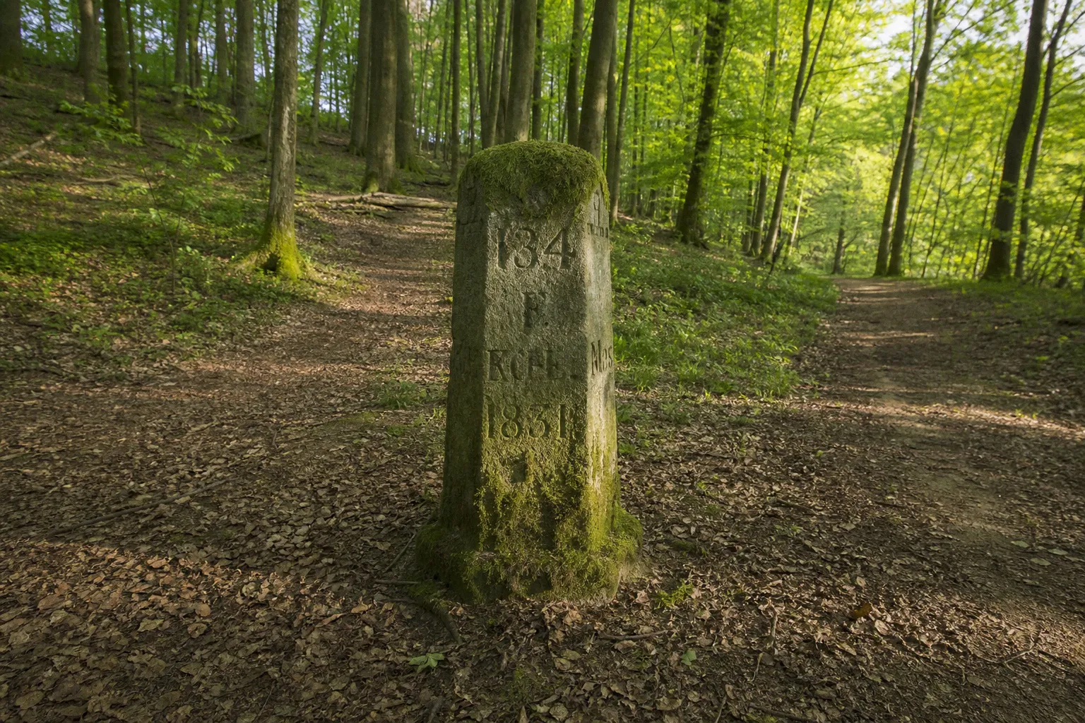 Dreiländereck Weserbergland: Route entlang alter Grenzen