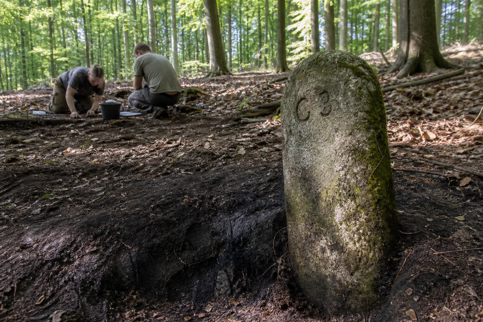 Historische Waldnutzung im Solling: Spurensuche im Gelände