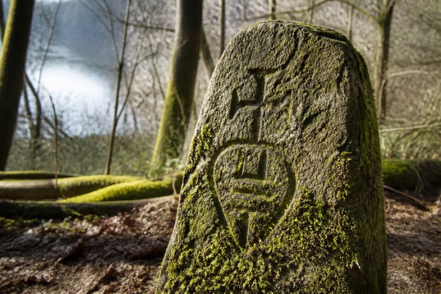 Historische Waldnutzung: Vorbereitung der Spurensuche