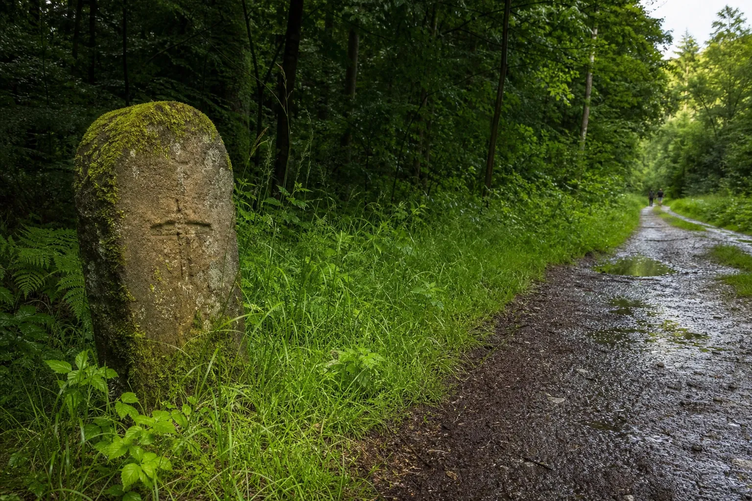 Klosterpfad Amelungsborn-Corvey: Spurensuche am Wegesrand