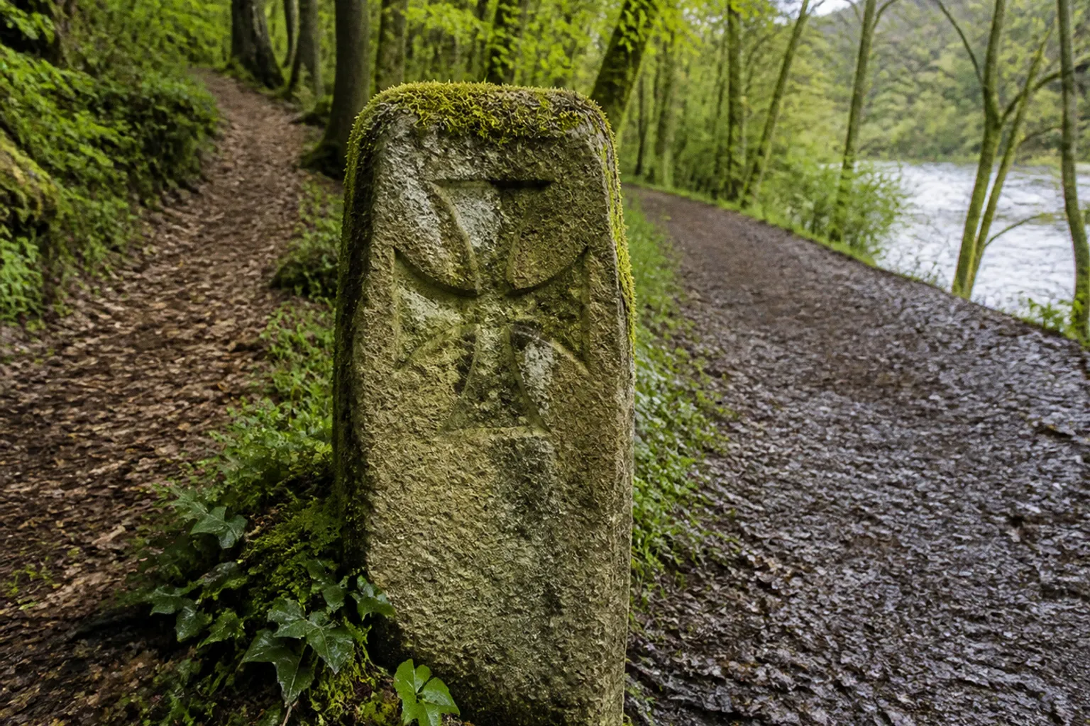 Klosterpfade an der Weser: Was Wanderer beachten müssen