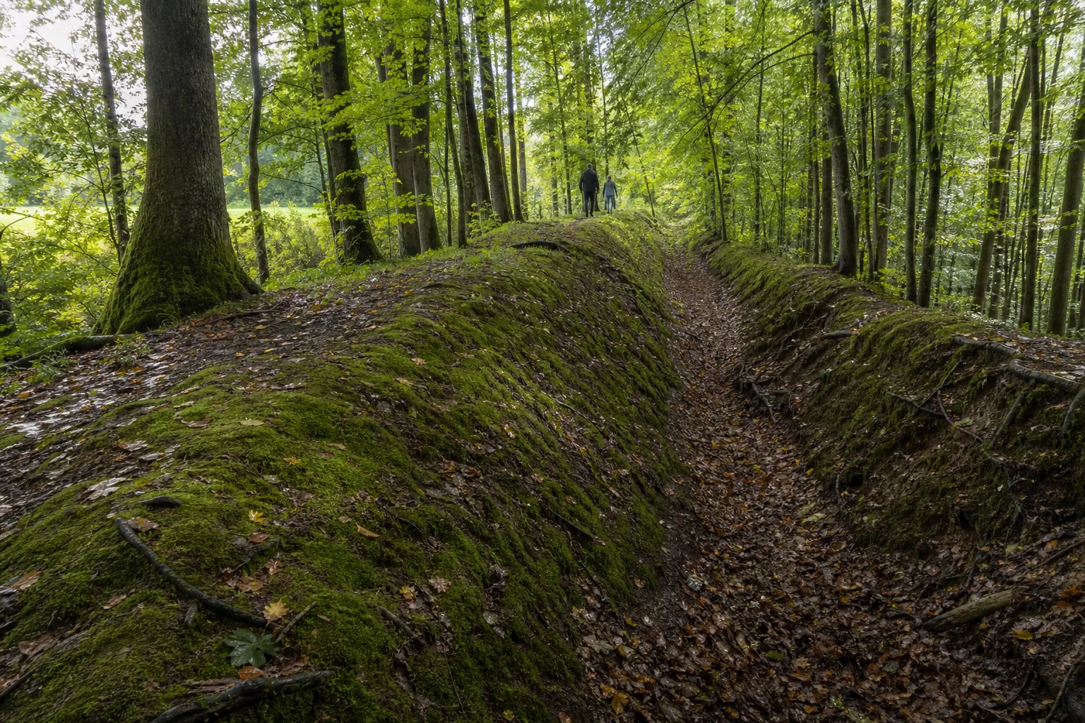 Landwehren im Weserbergland: Grenzwälle richtig deuten