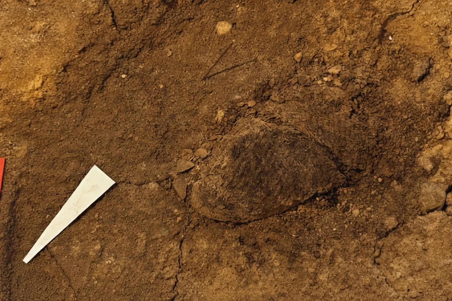 Seltene Textilfunde aus einem 1.300 Jahre alten Wikingergrab in Jütland