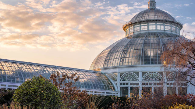 Botanischer Garten New York
