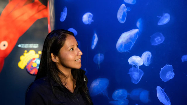 New York Aquarium