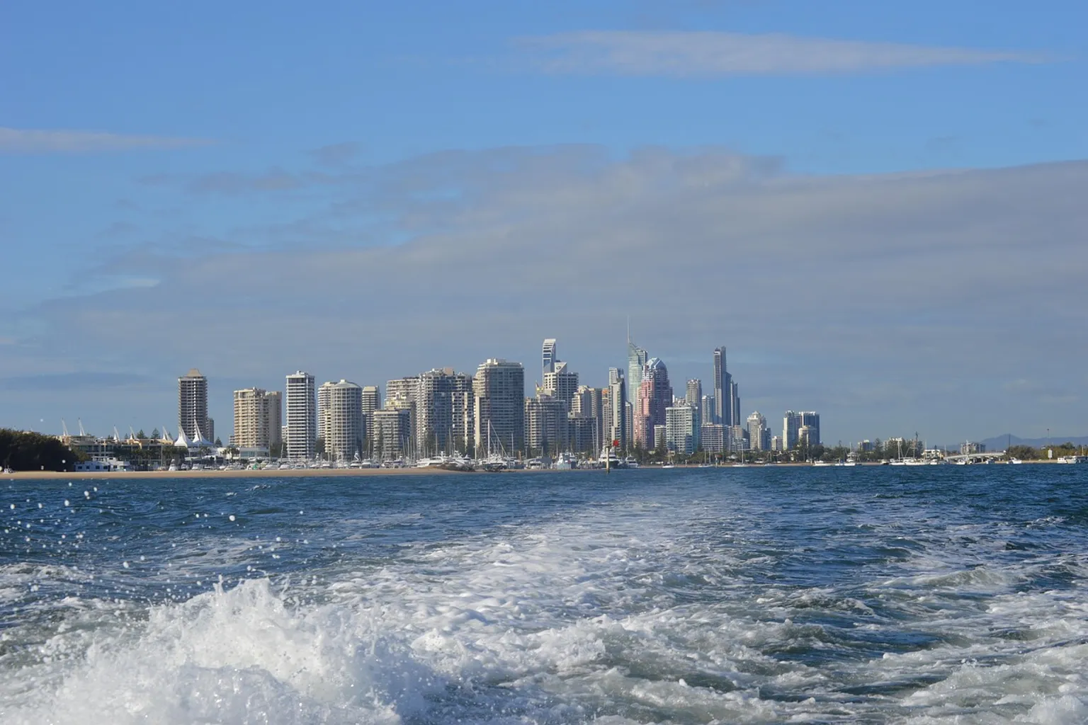 Walbeobachtung an der Gold Coast: Preise und versteckte Kosten