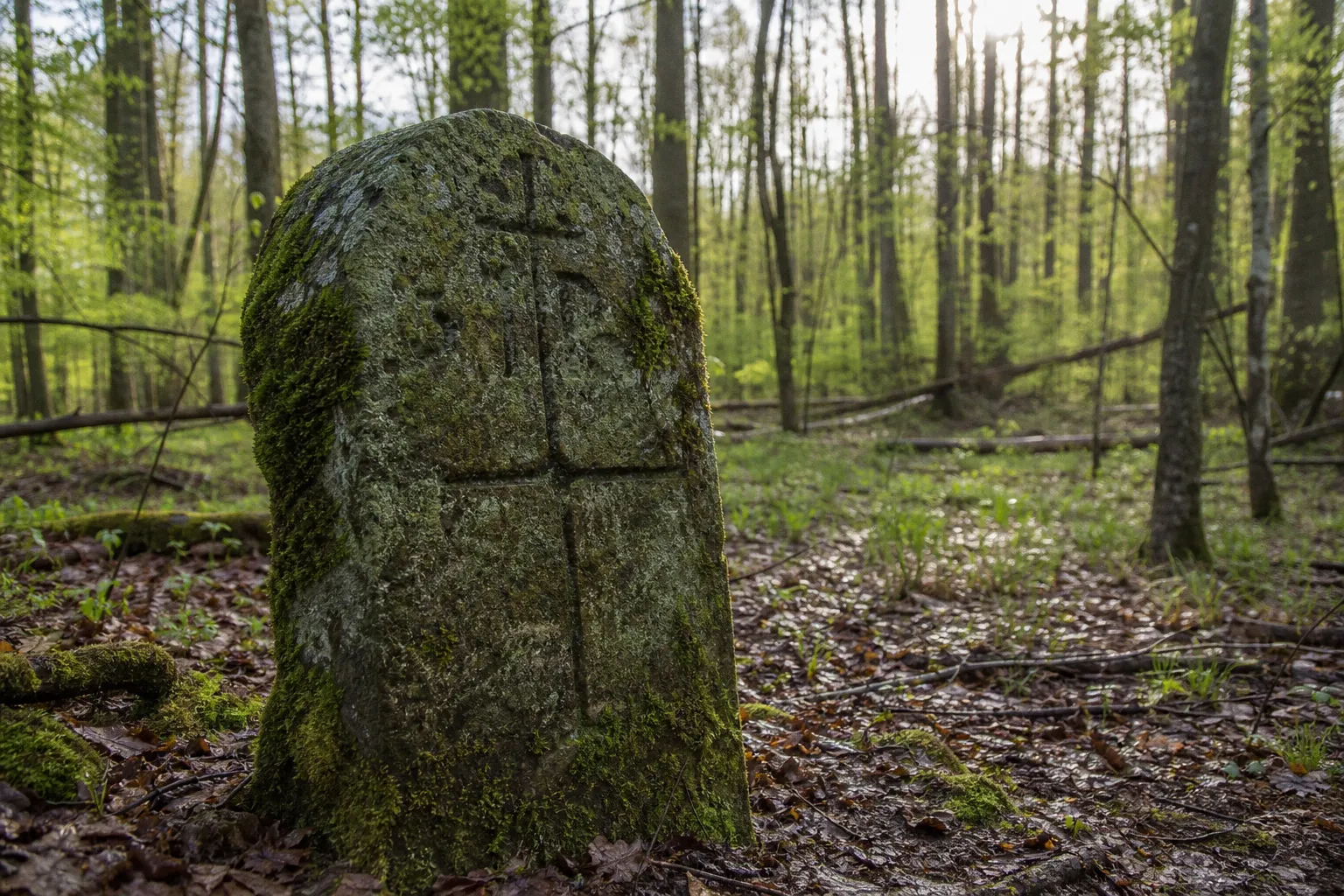 Waldnutzung im Solling: Vorbereitung der Spurensuche
