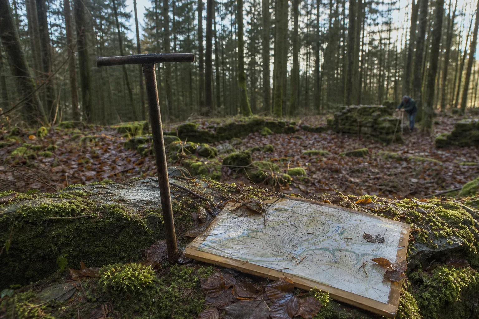 Wüstungen im Solling: Kartenanalyse oder Geländeprobe?